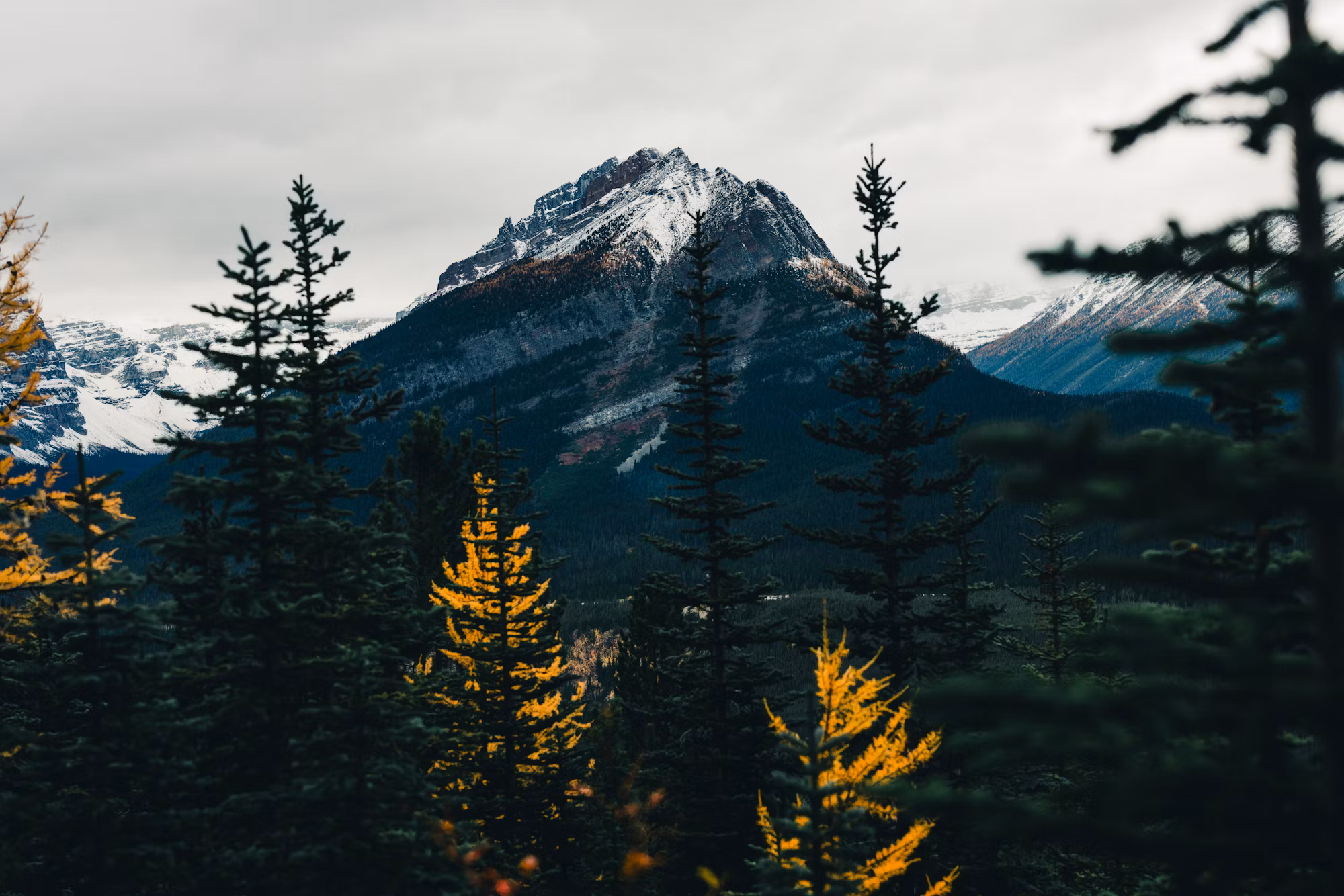 Exploring the Great Outdoors: A Guide to Camping Adventures